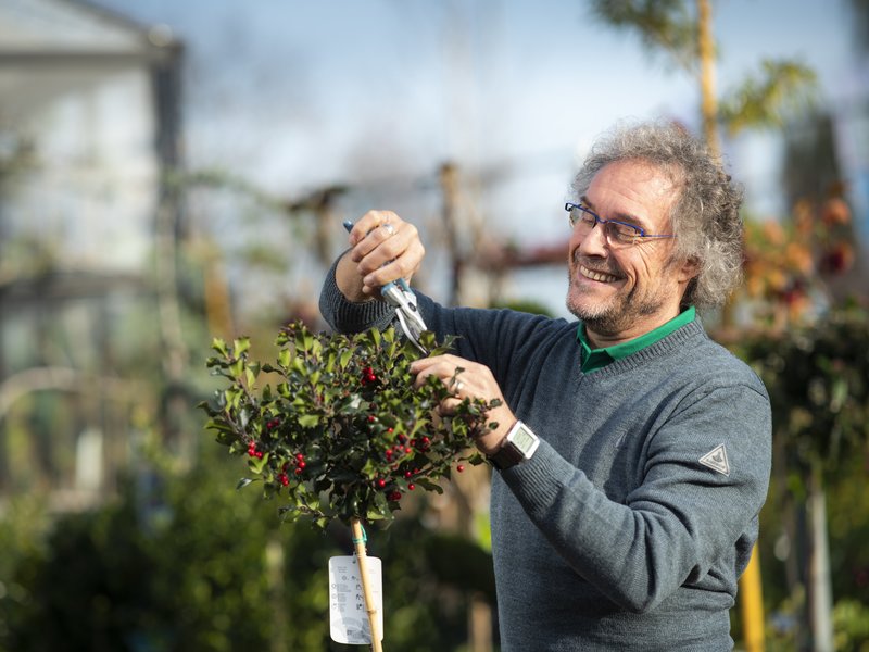 Cursus Tuinplanten | assortiment en verzorging